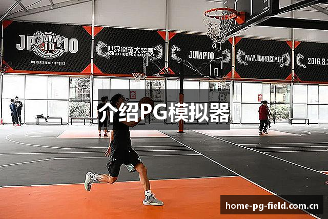 介绍PG模拟器